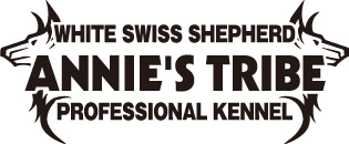 ホワイト・スイス・シェパード専門犬舎　ANNIE'S TRIBE